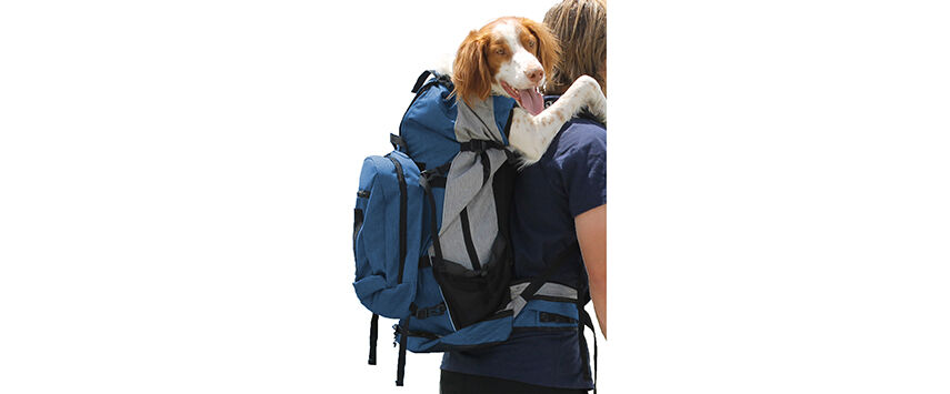 Pet Carriers